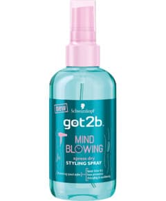 Schwarzkopf got2b Mind Blowing  Xpress Dry Styling Spray