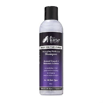 The Mane Choice  Easy On The Curls  Detangling Hydration Shampoo