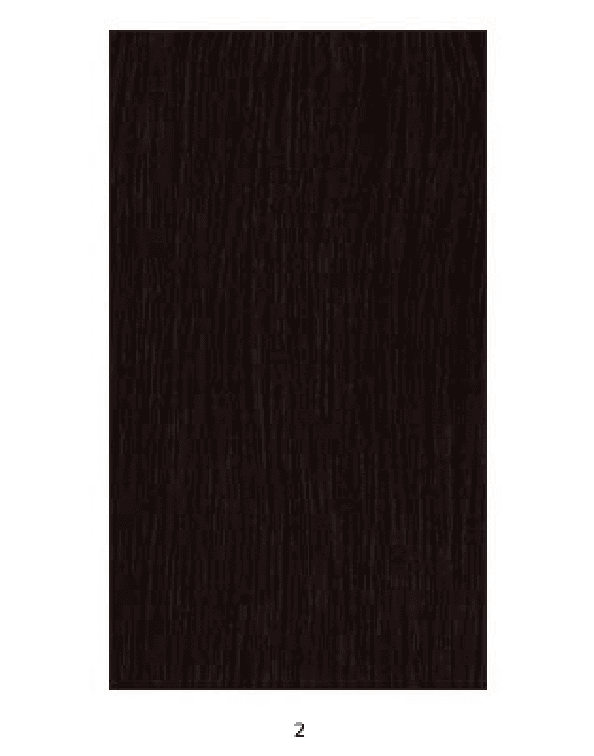 OBSESSION LACE WIG / BILLIE 9