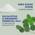Dr Teal's Shea Sugar Body Scrub with Eucalyptus and Spearmint Essential Oils, 19 oz 2