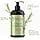 Mielle Organics Conditioner, Strengthening, 12 Ounce, Rosemary Mint Biotin, Conditioner
